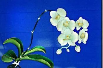 承德各縣特產知多少？調查稱63.4%市民未曾詳悉