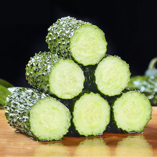 黃瓜的脆嫩誘惑 從田間到舌尖的新鮮之旅